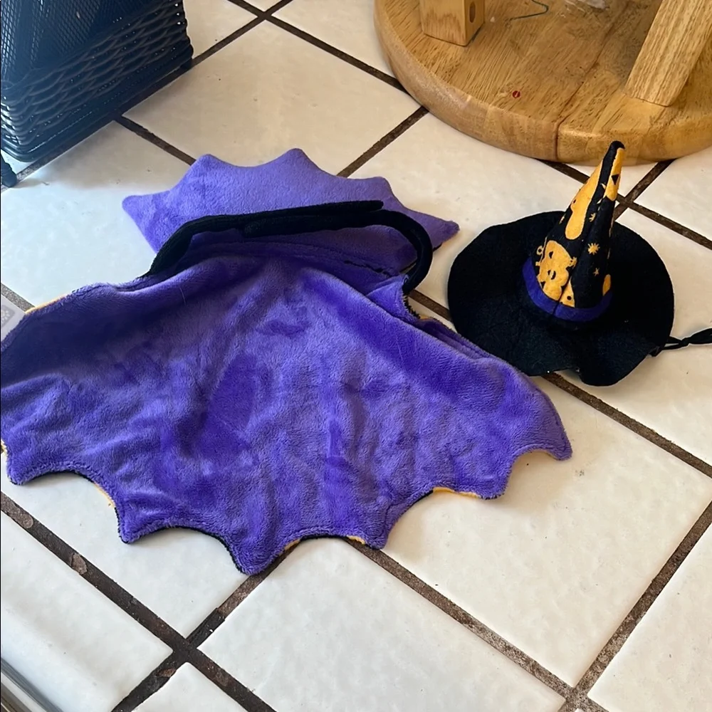 Cat Halloween Costume with Cape and Hat